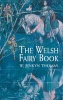 The Welsh Fairy Book (Paperback, New edition) - WJenkyn Thomas Photo