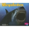 Megalodon (Paperback) - Janet Riehecky Photo