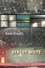 Vertical Elegies 6 - Street Mete (Paperback) - Sam Truitt Photo