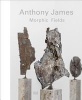 Anthony James Morphic Fields (Hardcover) - Katja Eichinger Photo