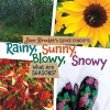 Rainy, Sunny, Blowy, Snowy - What Are Seasons? (Hardcover) - Jane Brocket Photo