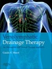 Venolymphatic Drainage Therapy - An Osteopathic and Manual Therapy Approach (Paperback, Published in En) - Guido F Meert Photo