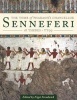 The Tomb of Pharaoh's Chancellor Senneferi at Thebes (TT99) (Hardcover) - Nigel Strudwick Photo