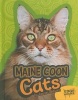 Maine Coon Cats (Hardcover) - Joanne Mattern Photo