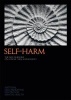 Self-Harm - The NICE Guideline on Longer-Term Management (Paperback, First) - National Collaborating Centre for Mental Health Photo