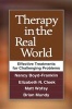 Therapy in the Real World - Effective Treatments for Challenging Problems (Hardcover) - Nancy Boyd Franklin Photo