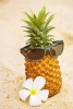 Fun in the Sun - Cool Pineapple Wearing Sunglasses Tropical Journal: 150 Page Lined Notebook/Diary (Paperback) - Cs Creations Photo