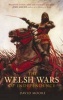 The Welsh Wars of Independence (Paperback) - David Moore Photo