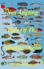 Sea Angling Fish of the Atlantic Ocean (Paperback) - MR David a Weaver Photo