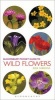 Pocket Guide to Wild Flowers (Paperback) - Bob Gibbons Photo