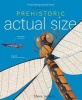 Prehistoric Actual Size (Paperback, Revised edition) - Steve Jenkins Photo