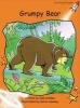 Grumpy Bear (Paperback) - Pam Holden Photo