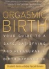 Orgasmic Birth - Your Guide to a Safe, Satisfying, and Pleasurable Birth Experience (Paperback) - Elizabeth Davis Photo