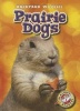 Prairie Dogs (Hardcover) - Kristin Schuetz Photo