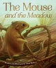 Mouse and the Meadow (Hardcover) - Chad Wallace Photo