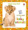 Baby's Very First Little Book of Baby Animals (Board book) - Kate Rimmer Photo