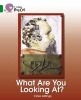 What are You Looking at? - Band 15/Emerald (Paperback) - Clare Gittings Photo