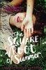 The Square Root of Summer (Paperback) - Harriet Reuter Hapgood Photo