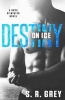 Destiny on Ice - Boys of Winter #1 (Paperback) - S R Grey Photo