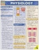 Physiology Laminate Reference Chart - Randy Brooks Photo