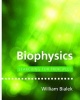 Biophysics - Searching for Principles (Hardcover, New) - William Bialek Photo