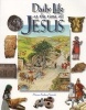 Daily Life at the Time of Jesus (Paperback) - Miriam Feinberg Vamosh Photo