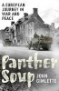 Panther Soup - A European Journey in War and Peace (Paperback) - John Gimlette Photo