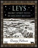 Leys - Secret Spirit Paths in Ancient Britain (Paperback) - DP Sullivan Photo