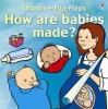 How Are Babies Made? (Paperback, Illustrated Ed) - Alastair Smith Photo