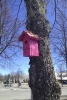 Pink Birdhouse on a Tree Journal - 150 Page Lined Notebook/Diary (Paperback) - Cs Creations Photo