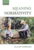 Meaning and Normativity (Paperback) - Allan Gibbard Photo