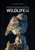 Photographing Wildlife in the UK - Where and How to Take Great Wildlife Photographs (Paperback) - Andrew Marshall Photo