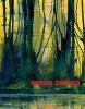 Bernd Zimmer: Everything Flows. Painting (Hardcover) - Angerlehner Museum Photo