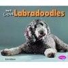 You'll Love Labradoodles (Paperback) - Erin Edson Photo