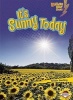 It's Sunny Today (Paperback) - Kristin Sterling Photo