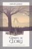 Glimpses of Glory - Prayers for the Church Year: Year C (Paperback) - David Adam Photo