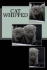 Cat Whipped - A 6 X 9 Lined Journal (Paperback) - Irreverent Journals Photo