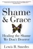 Shame and Grace - Healing the Shame We Don't Deserve (Paperback, 1st HarperCollins ed. co-published with Zondervan Pub. House) - Lewis B Smedes Photo