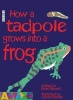 How a Tadpole Grows into a Frog (Paperback) - David Stewart Photo