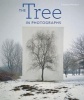 The Tree in Photographs (Hardcover) - Fran coise Reynaud Photo