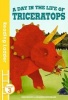 A Day in the Life of Triceratops (Paperback) - Susie Brooks Photo