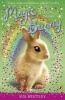 Magic Bunny: Holiday Dreams (Paperback) - Sue Bentley Photo