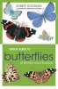 Green Guide to Butterflies of Britain and Europe (Paperback) - Robert Goodden Photo