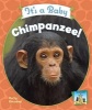 It's a Baby Chimpanzee! (Hardcover) - Kelly Doudna Photo