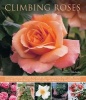 Climbing Roses - an Illustrated Guide to Varieties, Cultivation and Care, with Step-by-step Instructions and Over 160 Beautiful Photographs (Paperback) - Andrew Mikolajski Photo