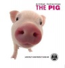 The Pig (Hardcover) - Geoff Tibballs Photo