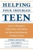 Helping Your Troubled Teen - Learn to Recognize, Understand, and Address the Destructive Behavior of Today's Teens (Paperback) - Cynthia Kaplan Photo