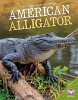 American Alligator (Hardcover) - Carla Mooney Photo