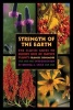 Strength of the Earth - The Classic Guide to Ojibwe Uses of Native Plants (Paperback) - Frances Densmore Photo