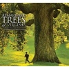 Remarkable Trees of Virginia (Hardcover) - Nancy Ross Hugo Photo